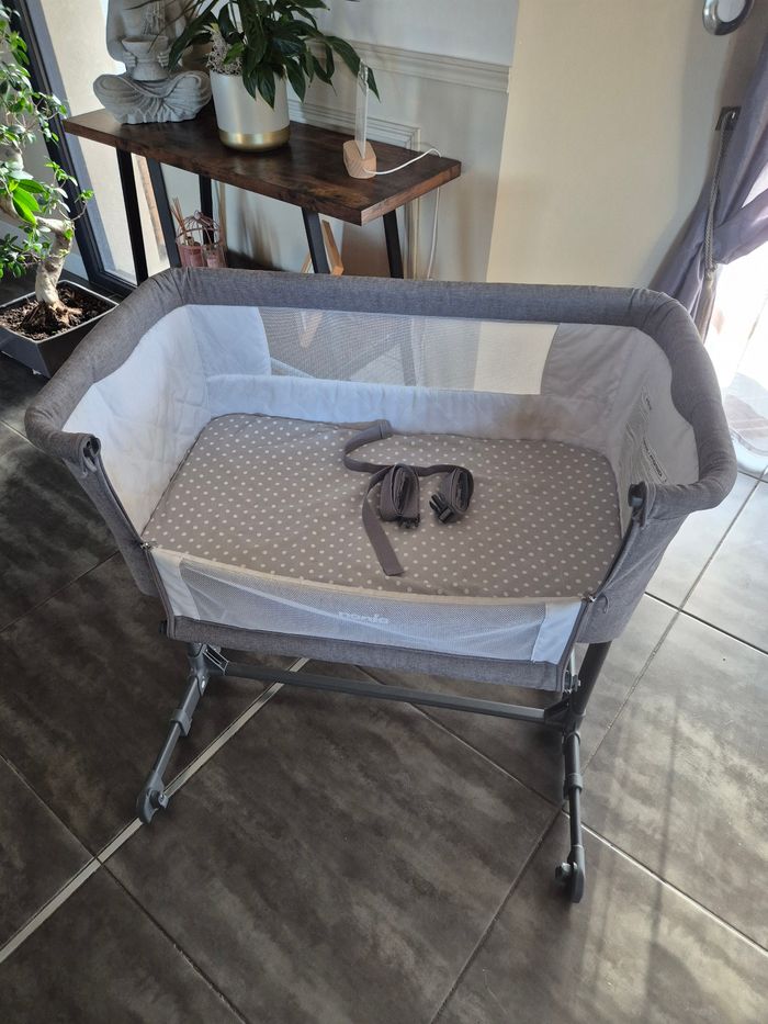 Cododo - photo numéro 2