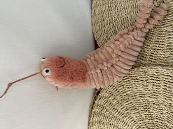 Peluche Sheldon crevette JELLYCAT rose poisson langouste