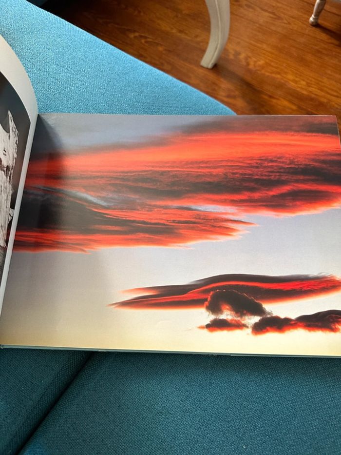 Livre Antarctica Alerte sur la planète Sébastian Copeland Antarctique Luc Besson Leonardo DiCaprio - photo numéro 7