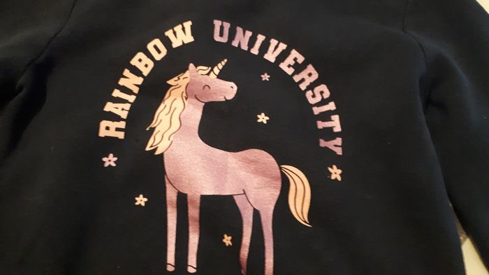 Pull licorne - photo numéro 2