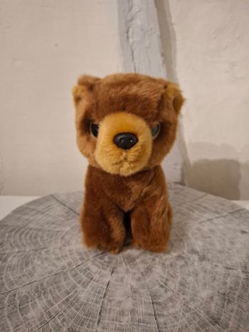 Peluche ours