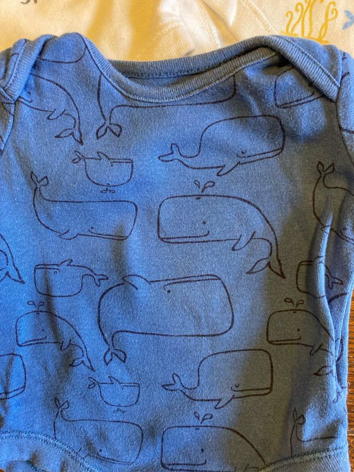 Lot 3 bodies manches courtes - photo numéro 2