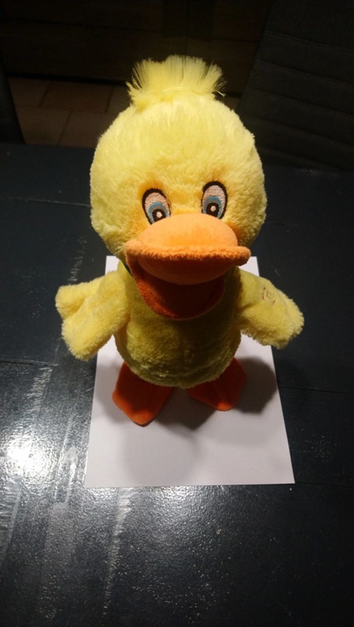 Canard musical
