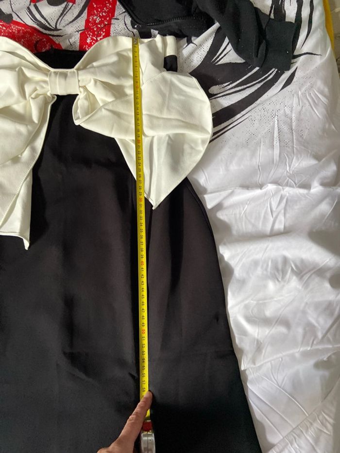 Longue robe - photo numéro 2