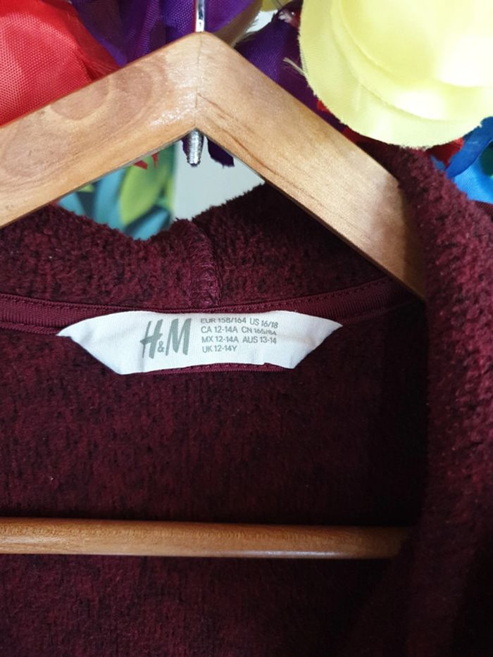 Veste zippée à capuche - photo numéro 4