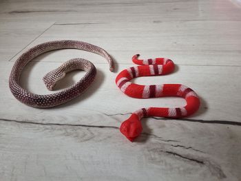 Jouets lot de 2 serpents 