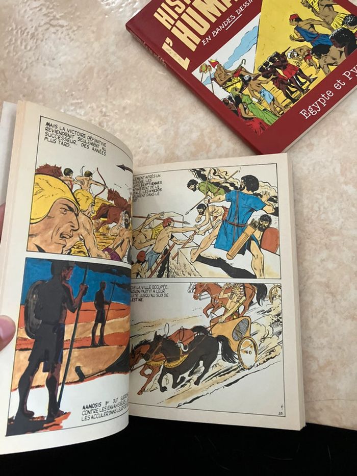 Lot 5 BD "L’Histoire de l’humanité en BD" - photo numéro 10