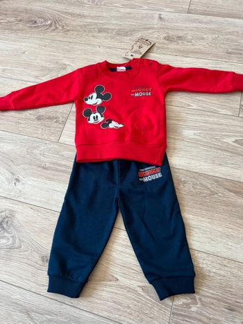 Ensemble Mickey