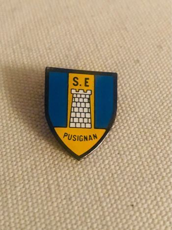 Pin’s village Pusignan château tour blason vintage