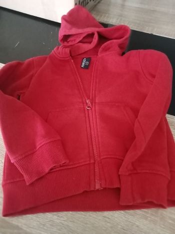 gilet