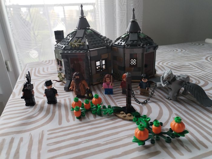 Lego Harry Potter La cabane d'Hagrid 75947 - photo numéro 2