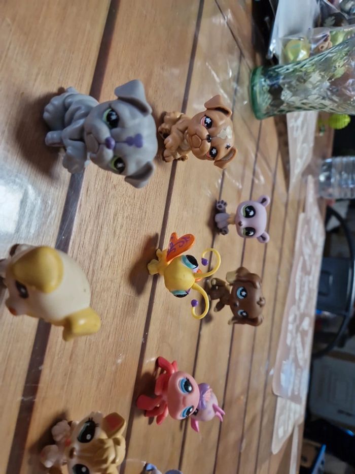 Lot petshop (7) - photo numéro 7