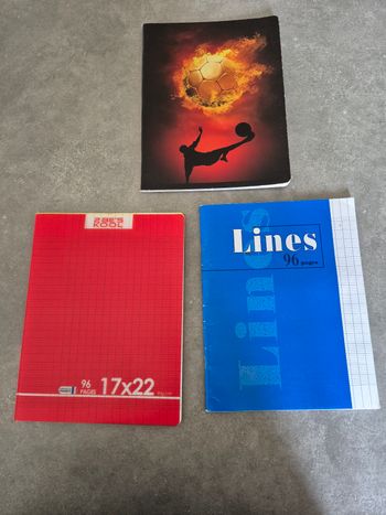 Lot 3 cahiers 17×22