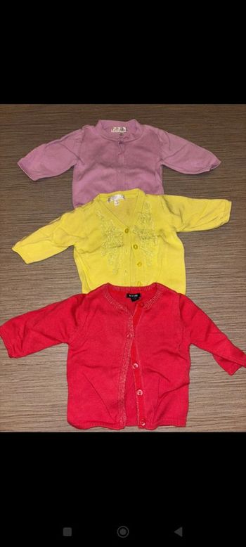 Lot de 3 gilets taille 1 mois