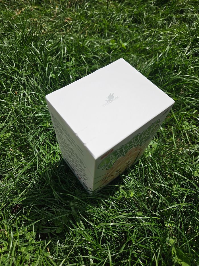 Lot 2 Box Labubu – Big Into Energy PopMart - photo numéro 2