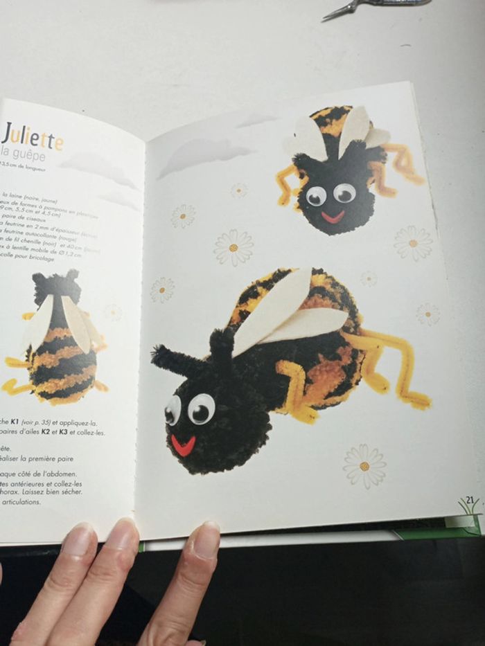 Livre pompons - photo numéro 5