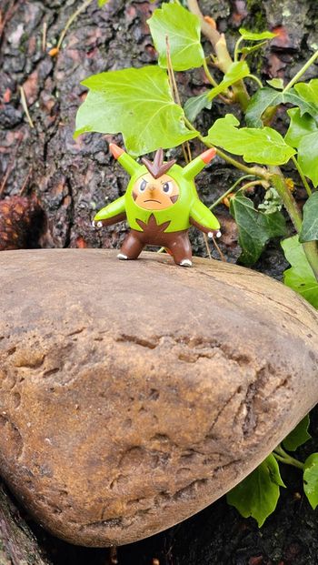 Super figurine Pokemon Nintendo Boguerisse