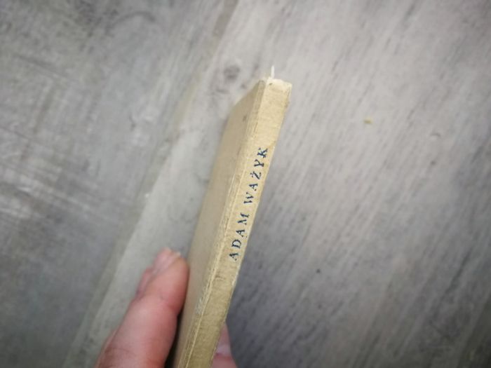 Mini livre en polonais WAZYK - photo numéro 3