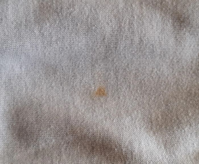 Sweat à capuche gris très clair. 11/12 ans. Champion. - photo numéro 5