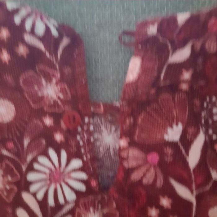 Robe velours - photo numéro 4