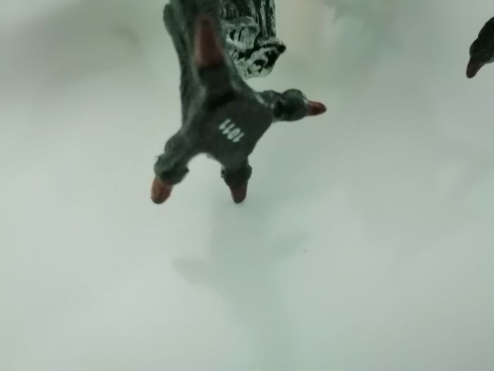 Grand dragon volant - photo numéro 3