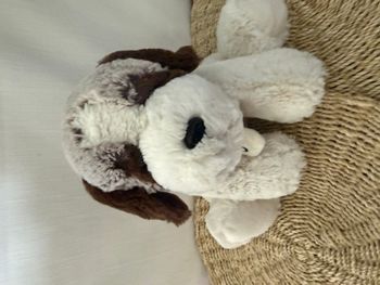 Doudou peluche chien saint Bernard beige marron blanc tout doux DANI