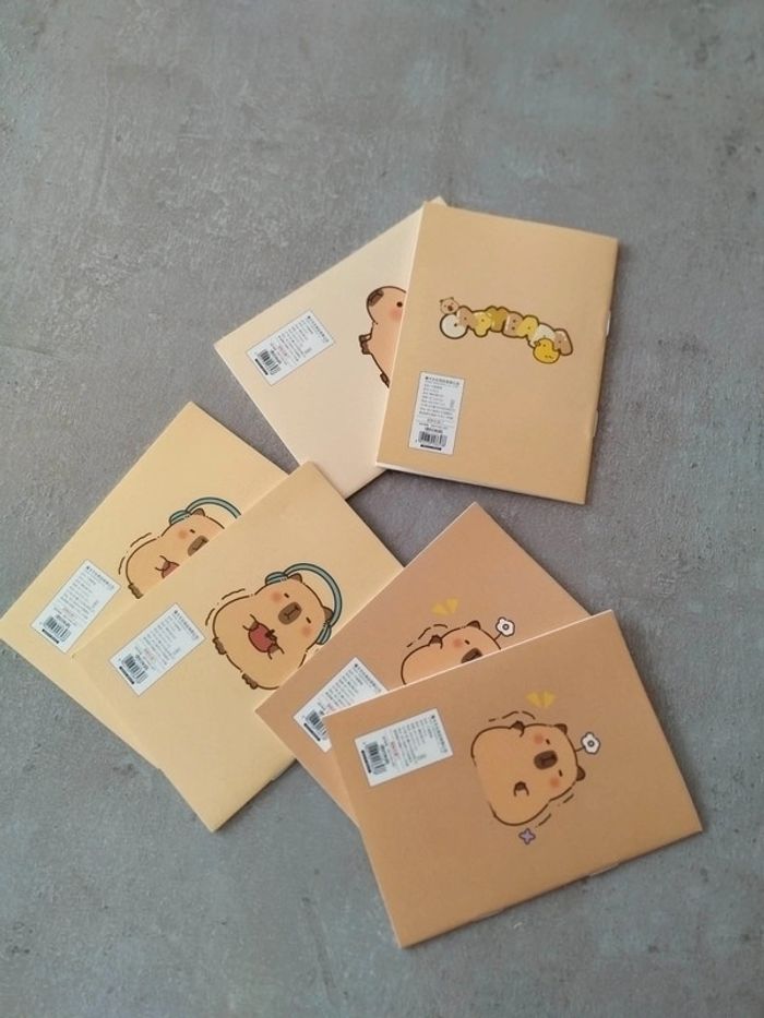 Fourniture scolaire : lot 6 petits cahiers Capybara - photo numéro 5