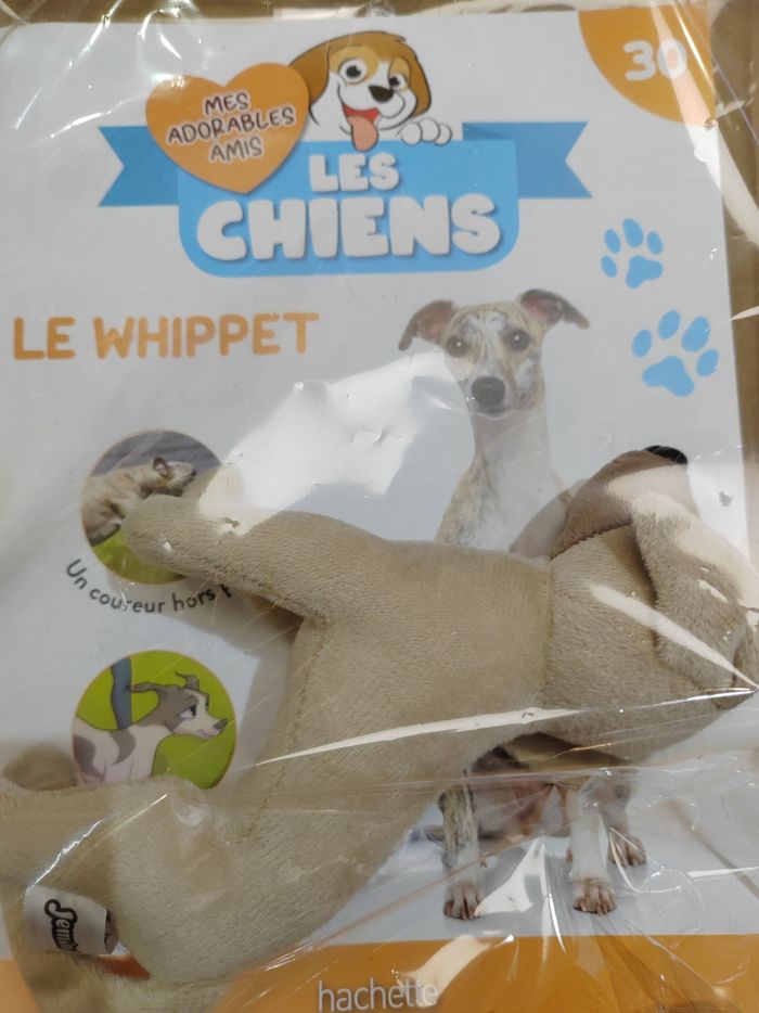 Mes adorables amis les chiens 30