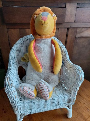 Lion d'activité Les Papoum Moulin Roty