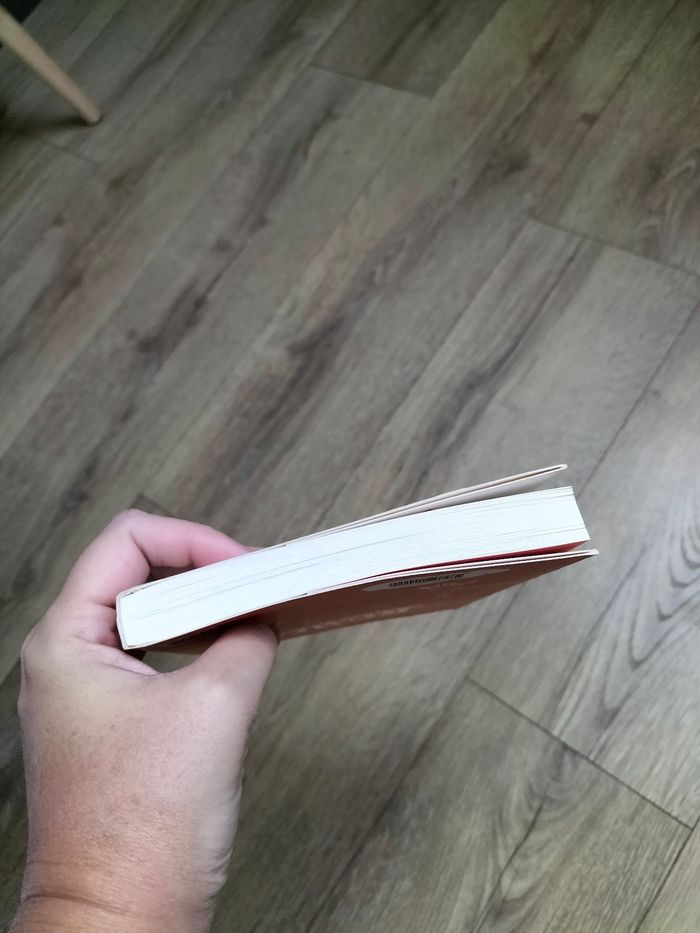 Roméo moustiques sympathique - photo numéro 5