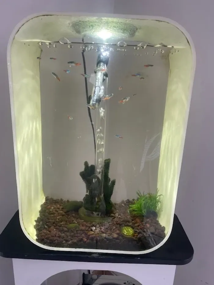 Aquarium biorb