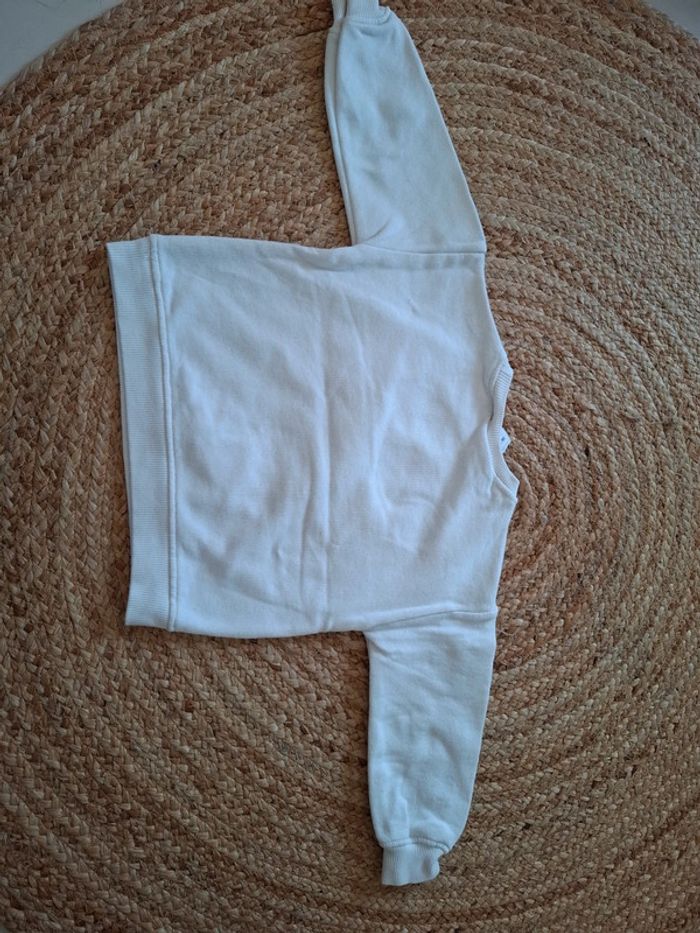 Zara 18/24 - photo numéro 4