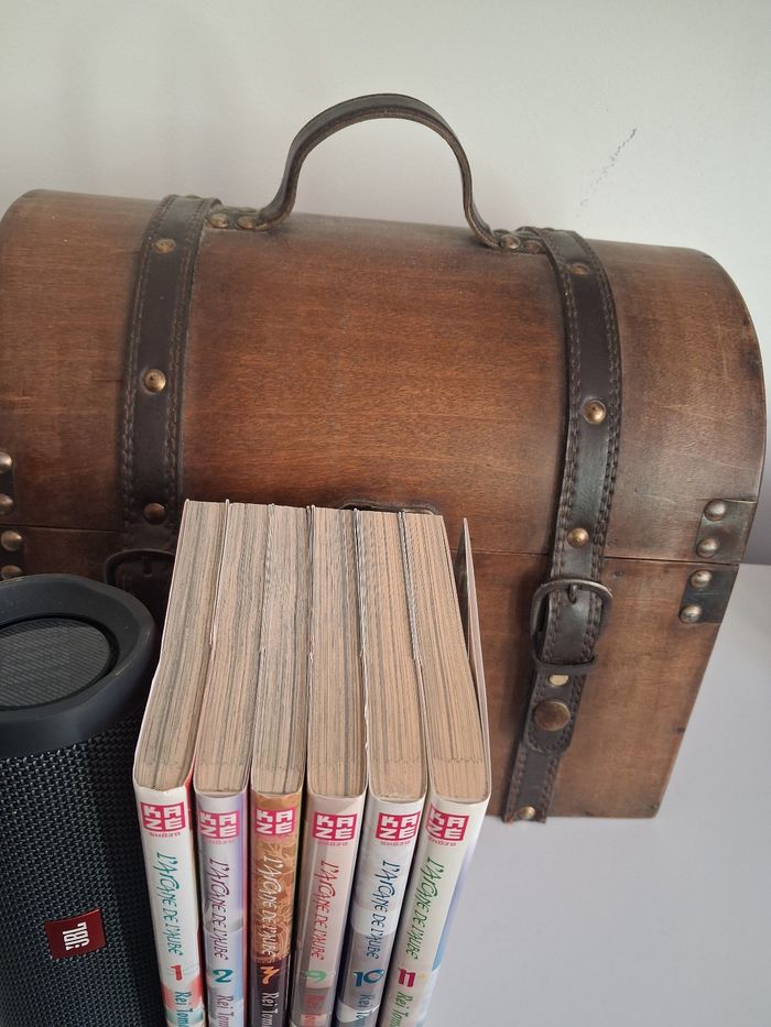 Manga L'Arcane de L'Aube lot tome 1 2 3 9 10 11 - photo numéro 2