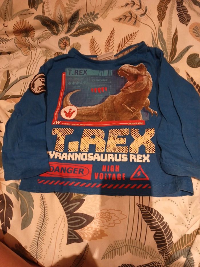 Manche longue 3ans dinosaure - photo numéro 2