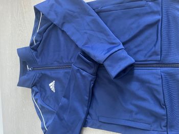 Veste