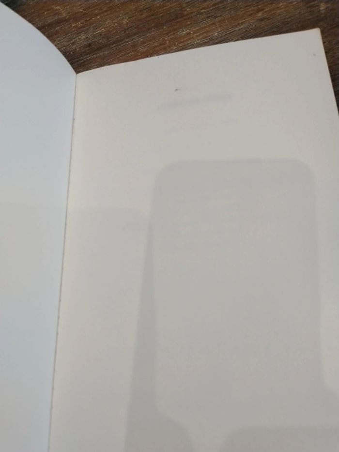 Le voleur d ombres - photo numéro 4