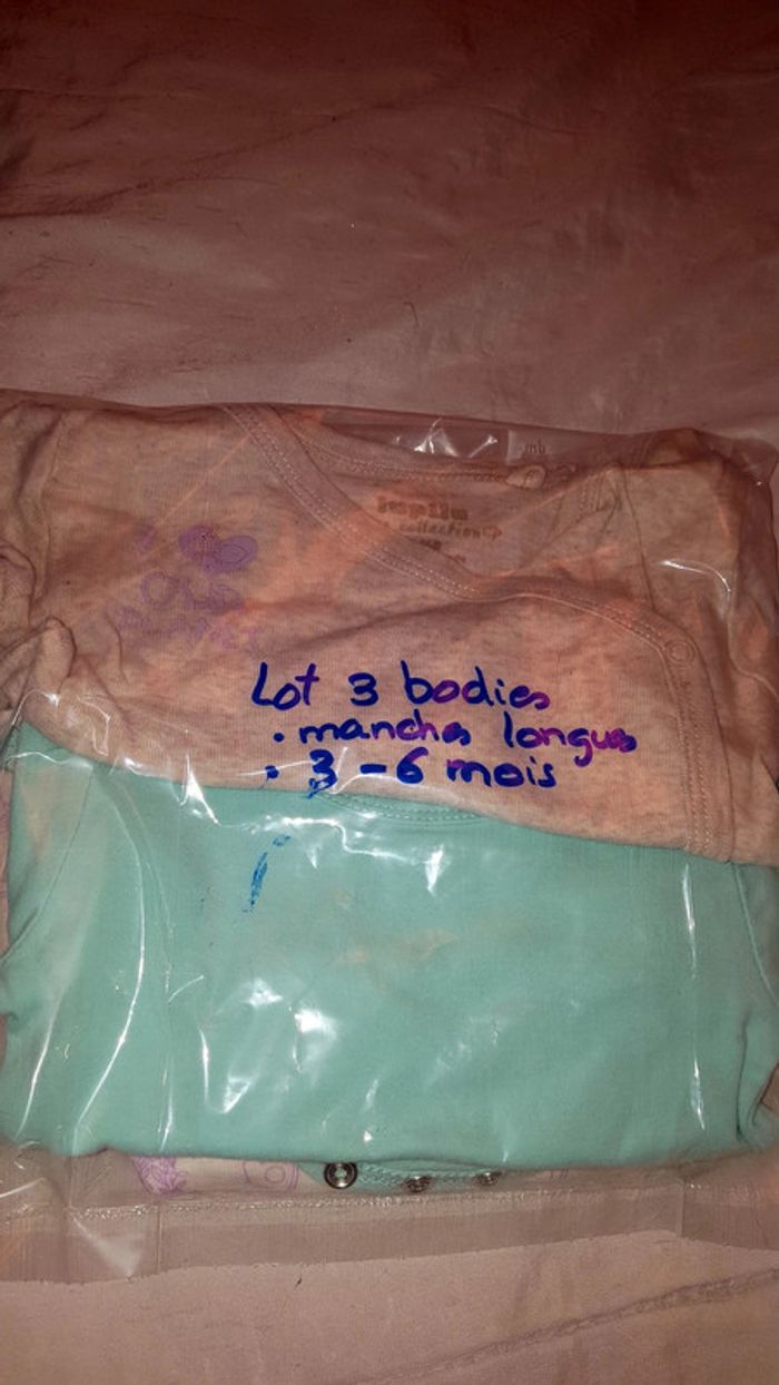 Bodies - photo numéro 3