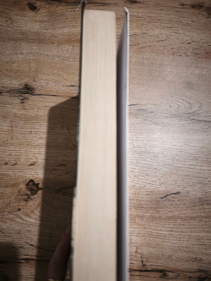Livre la juive - photo numéro 4