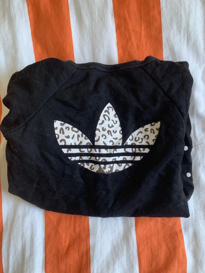 Grenouillère - photo numéro 3