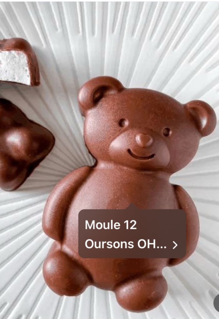 moule 12 oursons - photo numéro 2