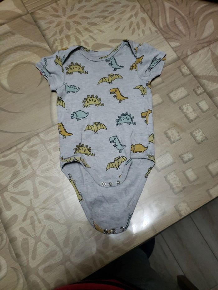 Lot 11 bodis courts 1 an 74 cm - photo numéro 6