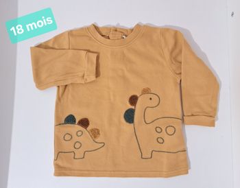 Tee-shirt dinausaure 18 mois