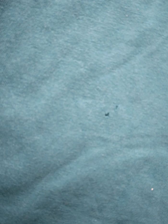 🌸Tee-shirt bleu vert avec imprimé 16ans🌸 - photo numéro 3