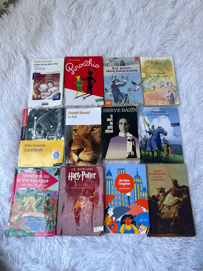 Lot de livres classique, collège et lycée