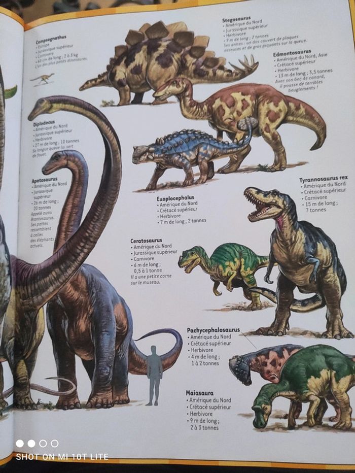 Encyclopédie dokéo - photo numéro 11