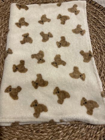 🧸 Plaid Ourson bébé