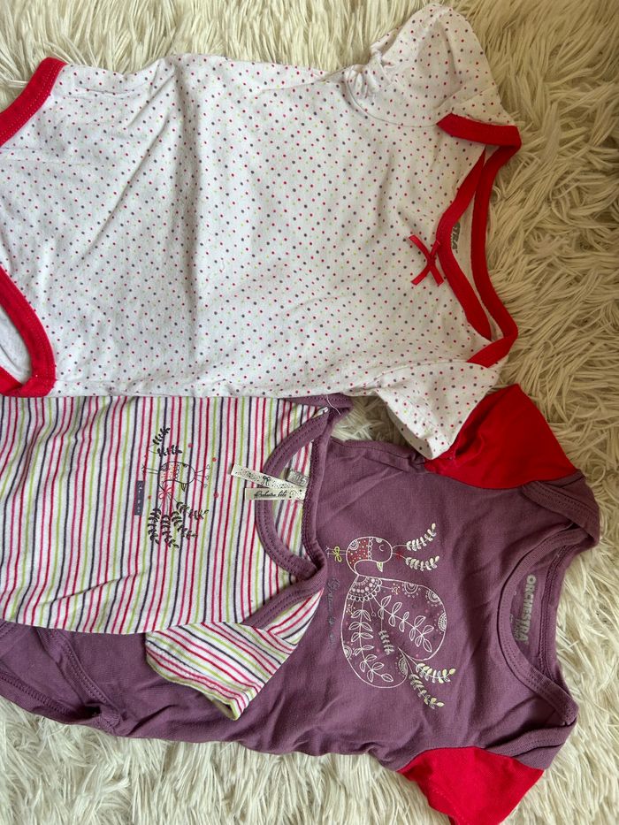 Lot de bodies 6 mois - photo numéro 2