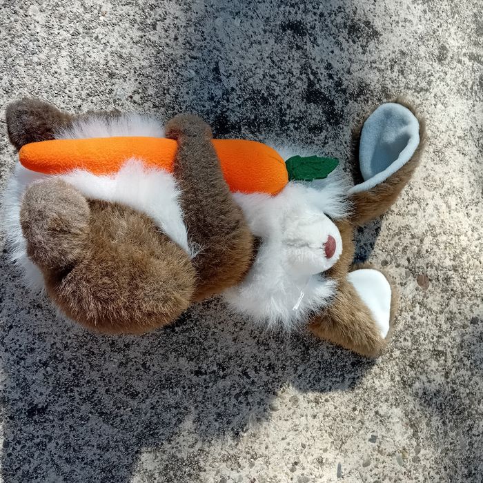 Peluches - photo numéro 2