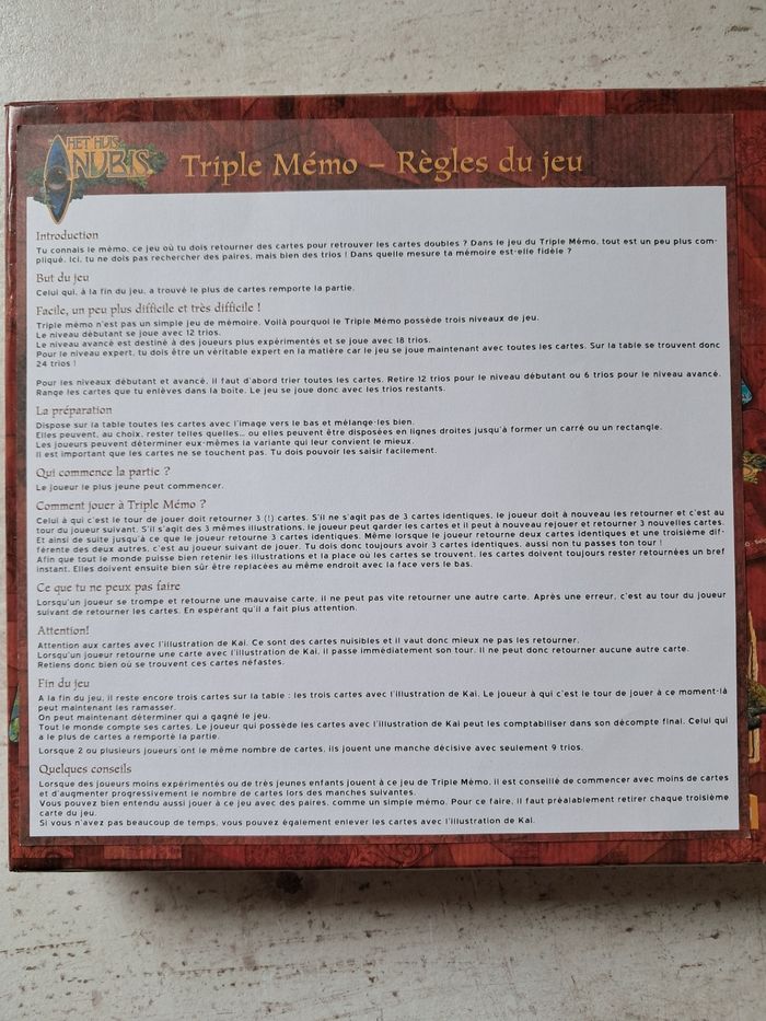 Jeu de mémorisation Triple Mémo - photo numéro 3