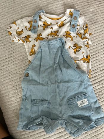 Ensemble Disney